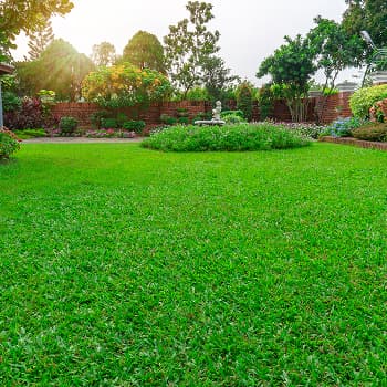 Lawn Care